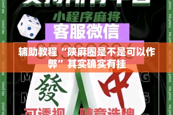 辅助教程“陕麻圈是不是可以作弊	”其实确实有挂