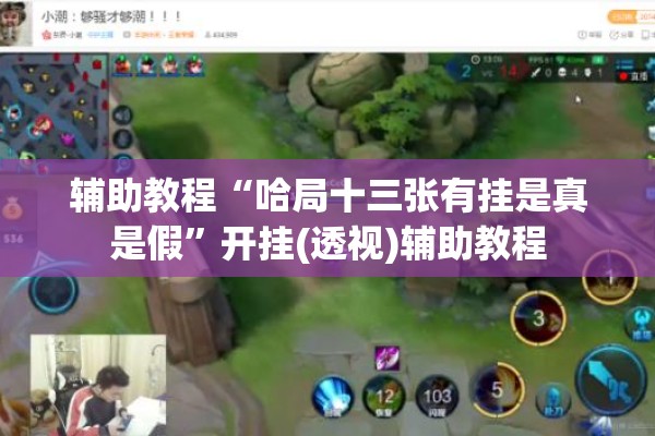 辅助教程“哈局十三张有挂是真是假	”开挂(透视)辅助教程