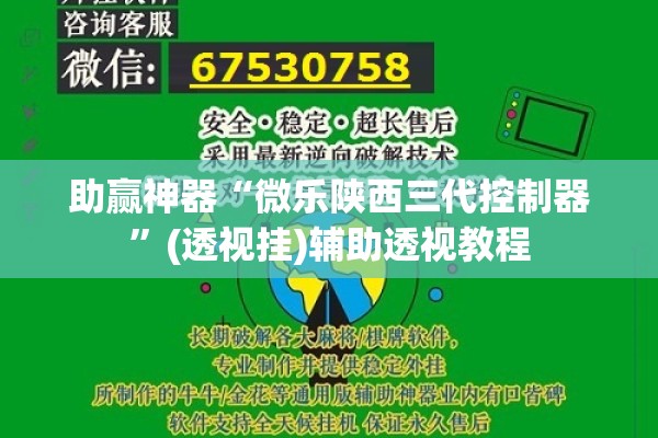 助赢神器“微乐陕西三代控制器”(透视挂)辅助透视教程