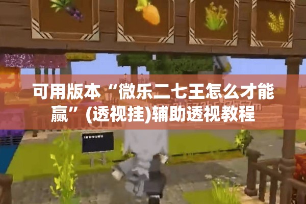 可用版本“微乐二七王怎么才能赢”(透视挂)辅助透视教程