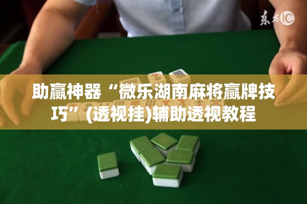 助赢神器“微乐湖南麻将赢牌技巧”(透视挂)辅助透视教程