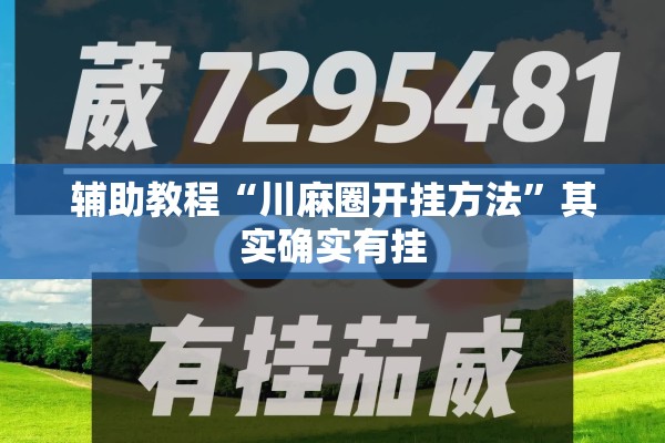 辅助教程“川麻圈开挂方法”其实确实有挂