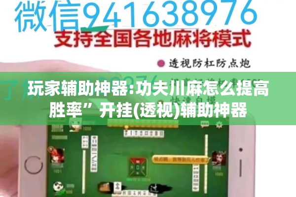 玩家辅助神器:功夫川麻怎么提高胜率”开挂(透视)辅助神器