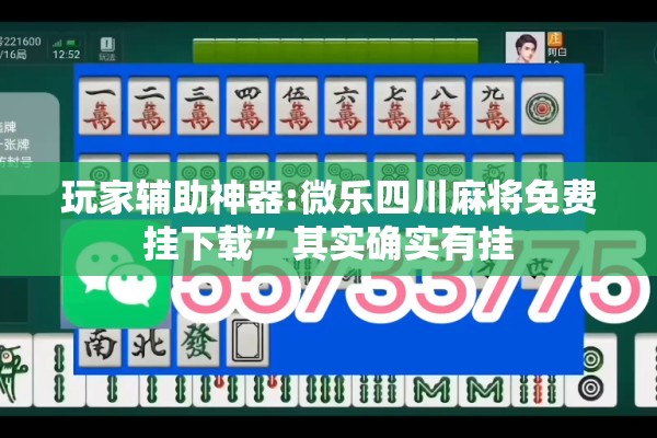 玩家辅助神器:微乐四川麻将免费挂下载	”其实确实有挂