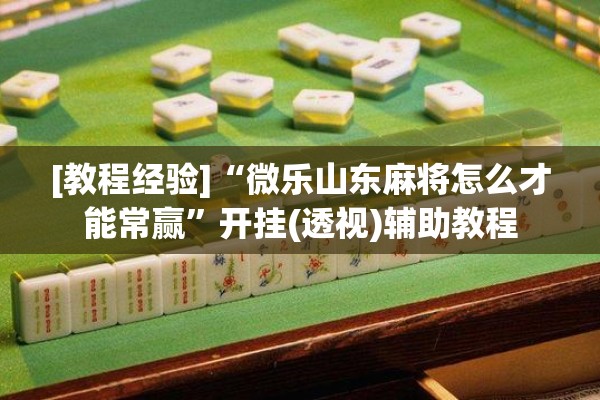 [教程经验]“微乐山东麻将怎么才能常赢”开挂(透视)辅助教程