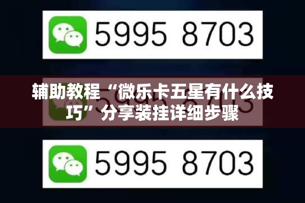 辅助教程“微乐卡五星有什么技巧”分享装挂详细步骤