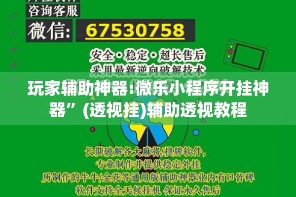 玩家辅助神器:微乐小程序开挂神器”(透视挂)辅助透视教程