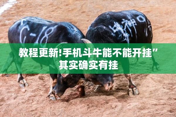 教程更新!手机斗牛能不能开挂	”其实确实有挂