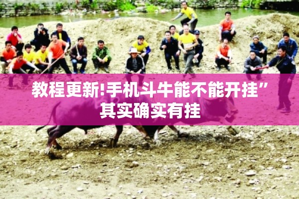 教程更新!手机斗牛能不能开挂”其实确实有挂