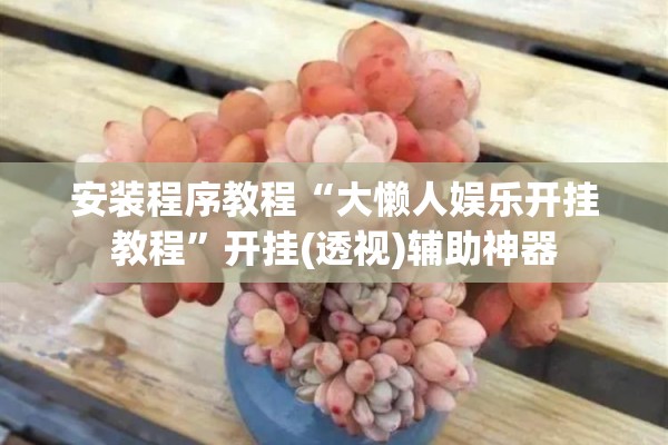 安装程序教程“大懒人娱乐开挂教程	”开挂(透视)辅助神器