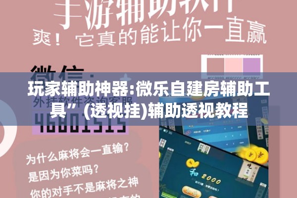 玩家辅助神器:微乐自建房辅助工具”(透视挂)辅助透视教程