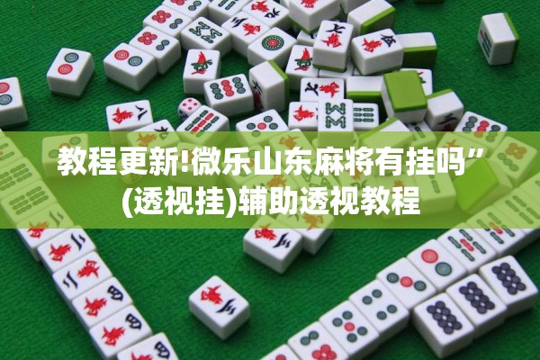 教程更新!微乐山东麻将有挂吗”(透视挂)辅助透视教程