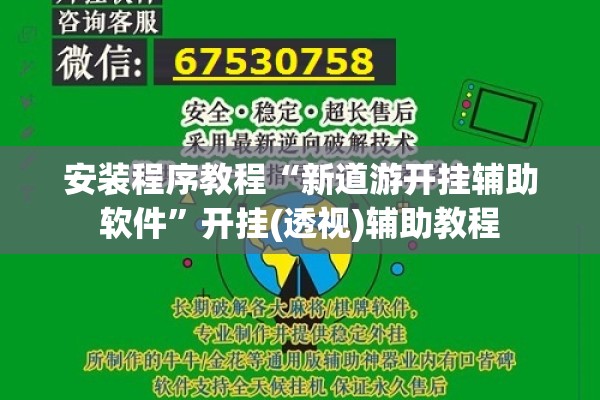 安装程序教程“新道游开挂辅助软件”开挂(透视)辅助教程