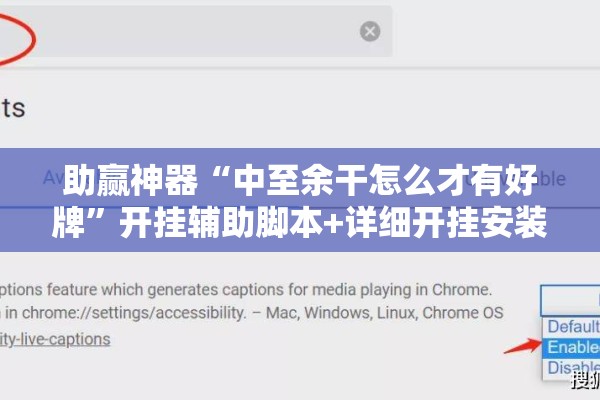 助赢神器“中至余干怎么才有好牌”开挂辅助脚本+详细开挂安装教程