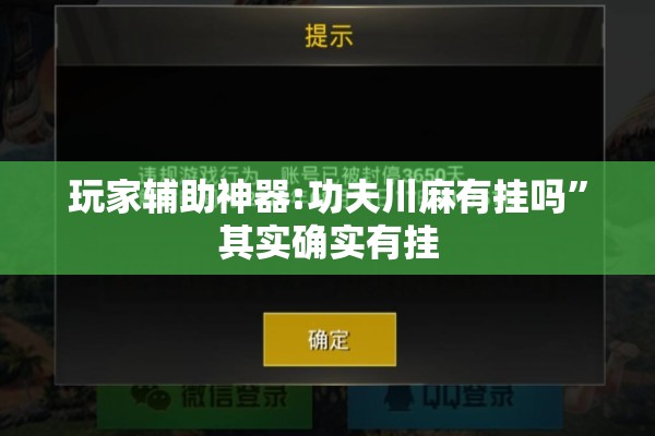 玩家辅助神器:功夫川麻有挂吗”其实确实有挂