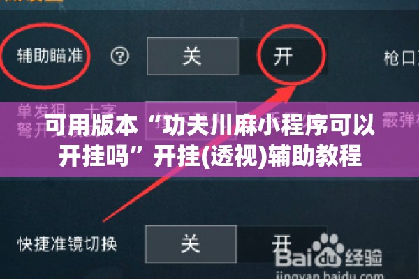 可用版本“功夫川麻小程序可以开挂吗”开挂(透视)辅助教程