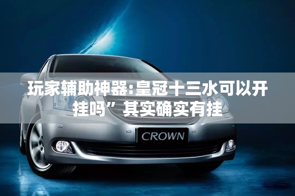 玩家辅助神器:皇冠十三水可以开挂吗	”其实确实有挂