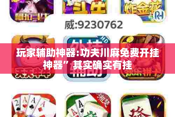 玩家辅助神器:功夫川麻免费开挂神器”其实确实有挂
