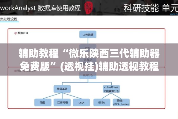 辅助教程“微乐陕西三代辅助器免费版”(透视挂)辅助透视教程