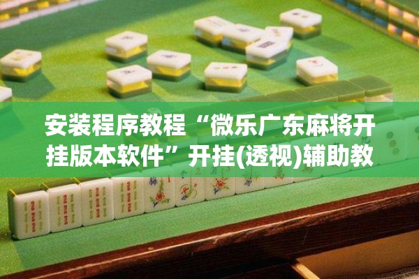 安装程序教程“微乐广东麻将开挂版本软件	”开挂(透视)辅助教程