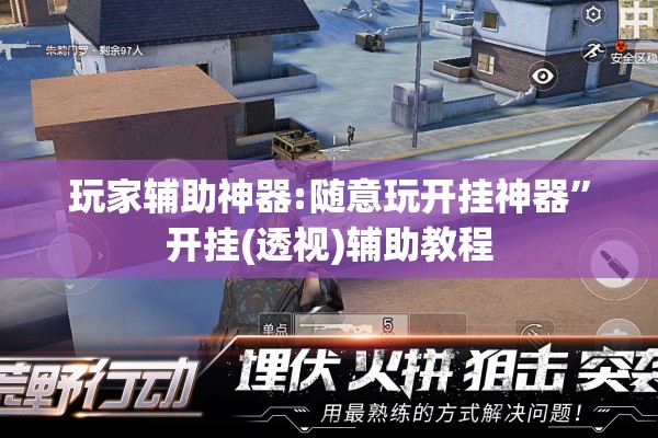 玩家辅助神器:随意玩开挂神器”开挂(透视)辅助教程