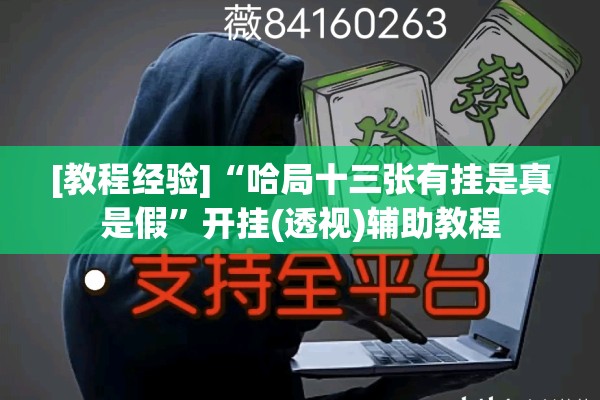 [教程经验]“哈局十三张有挂是真是假	”开挂(透视)辅助教程