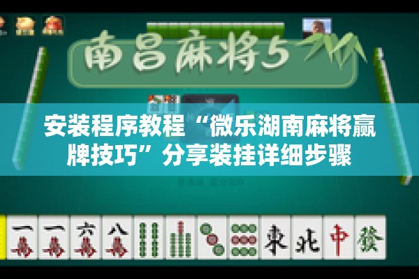 安装程序教程“微乐湖南麻将赢牌技巧	”分享装挂详细步骤
