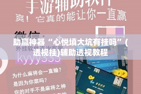 助赢神器“心悦填大坑有挂吗	”(透视挂)辅助透视教程
