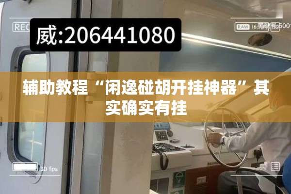 辅助教程“闲逸碰胡开挂神器	”其实确实有挂