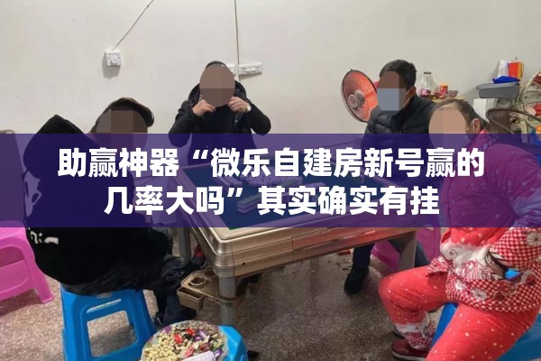 助赢神器“微乐自建房新号赢的几率大吗”其实确实有挂