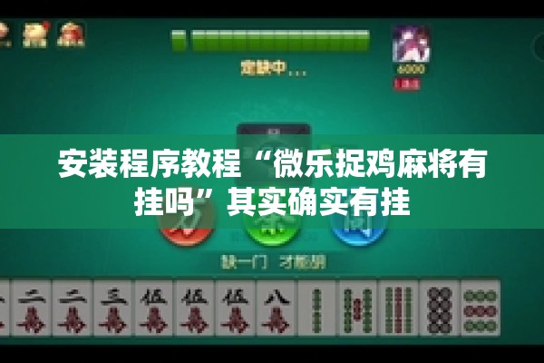 安装程序教程“微乐捉鸡麻将有挂吗”其实确实有挂