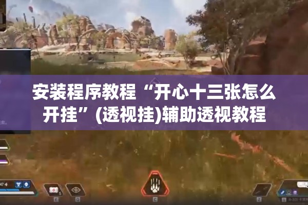 安装程序教程“开心十三张怎么开挂	”(透视挂)辅助透视教程