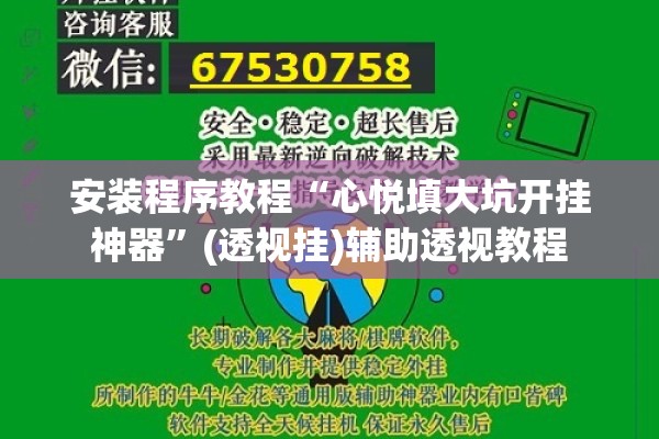 安装程序教程“心悦填大坑开挂神器	”(透视挂)辅助透视教程