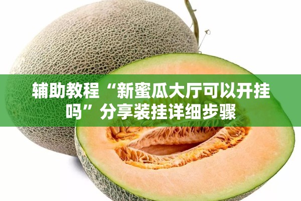 辅助教程“新蜜瓜大厅可以开挂吗	”分享装挂详细步骤