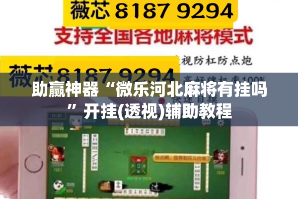 助赢神器“微乐河北麻将有挂吗”开挂(透视)辅助教程