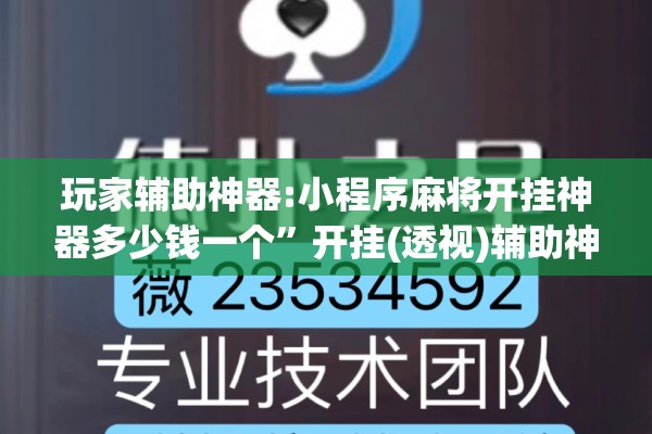 玩家辅助神器:小程序麻将开挂神器多少钱一个”开挂(透视)辅助神器