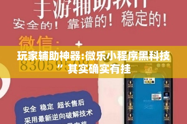 玩家辅助神器:微乐小程序黑科技”其实确实有挂