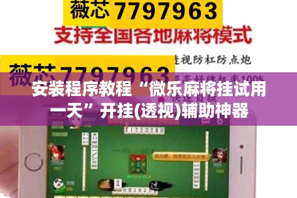 安装程序教程“微乐麻将挂试用一天	”开挂(透视)辅助神器
