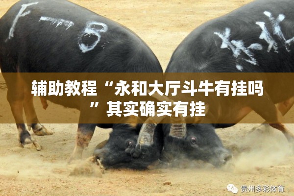 辅助教程“永和大厅斗牛有挂吗	”其实确实有挂