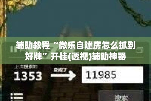 辅助教程“微乐自建房怎么抓到好牌”开挂(透视)辅助神器