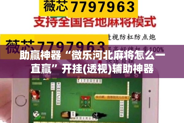 助赢神器“微乐河北麻将怎么一直赢”开挂(透视)辅助神器