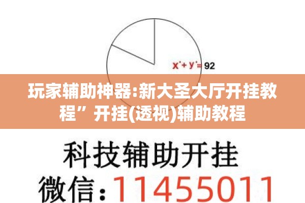 玩家辅助神器:新大圣大厅开挂教程	”开挂(透视)辅助教程