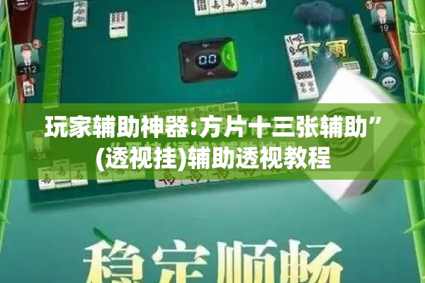 玩家辅助神器:方片十三张辅助”(透视挂)辅助透视教程