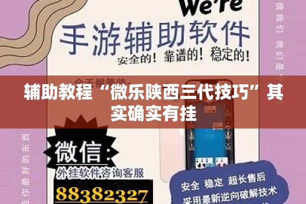 辅助教程“微乐陕西三代技巧	”其实确实有挂