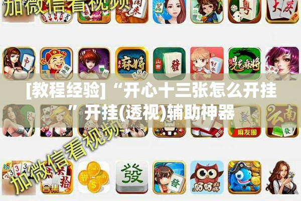 [教程经验]“开心十三张怎么开挂”开挂(透视)辅助神器