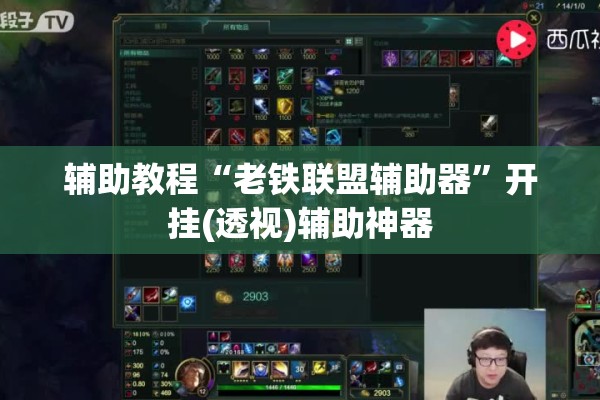 辅助教程“老铁联盟辅助器”开挂(透视)辅助神器