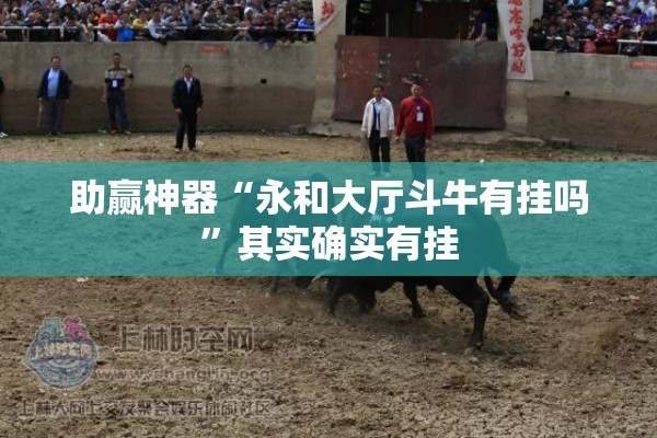 助赢神器“永和大厅斗牛有挂吗”其实确实有挂