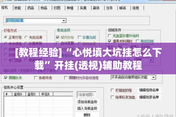 [教程经验]“心悦填大坑挂怎么下载”开挂(透视)辅助教程