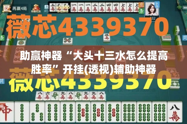 助赢神器“大头十三水怎么提高胜率	”开挂(透视)辅助神器