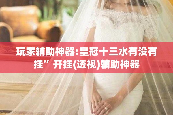 玩家辅助神器:皇冠十三水有没有挂	”开挂(透视)辅助神器